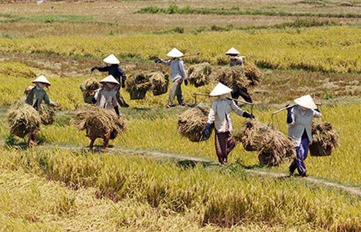 Trong một đoạn video diễn hài gần đây, Bi Béo- con trai của NSND, Cục trưởng