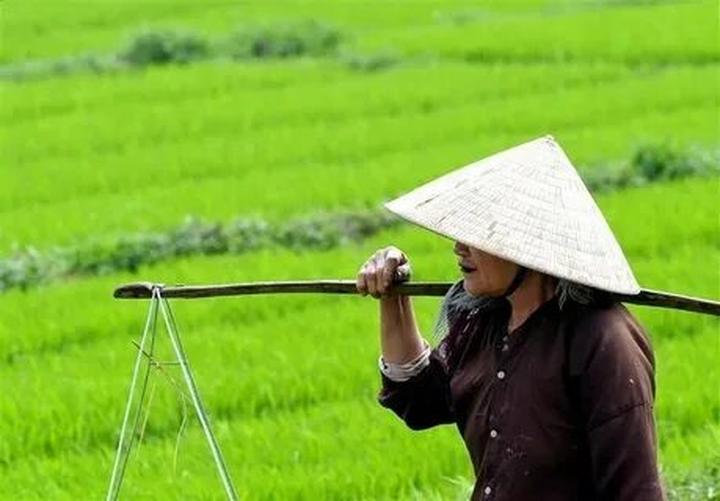 Từ Deal xịn nhất mùa hè đã tới: đến chiến lược content: Hotspot Matrix chia sẻ