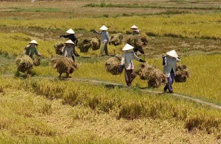 Hotspot Matrix: Giải pháp quản lý nội dung đa tài khoản, đa nền tảng tối ưu